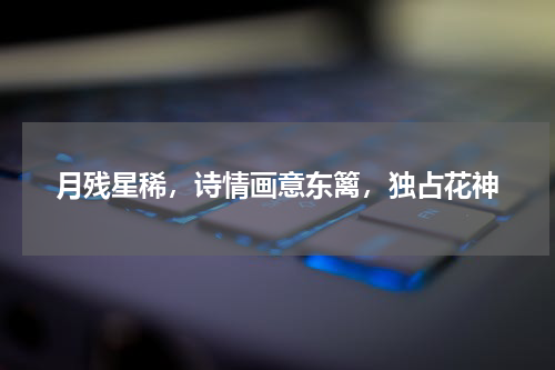 月残星稀，诗情画意东篱，独占花神