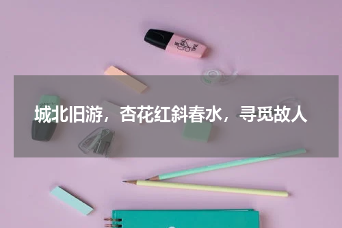 城北旧游，杏花红斜春水，寻觅故人