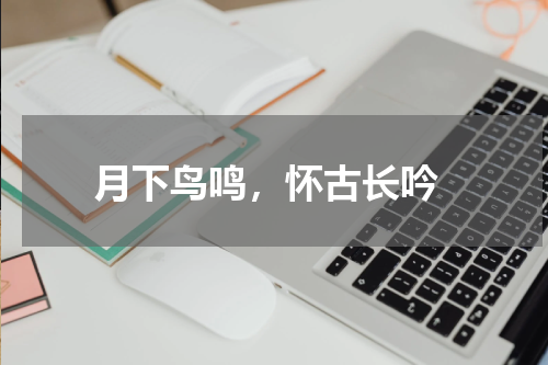  月下鸟鸣，怀古长吟