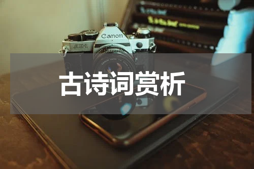  古诗词赏析