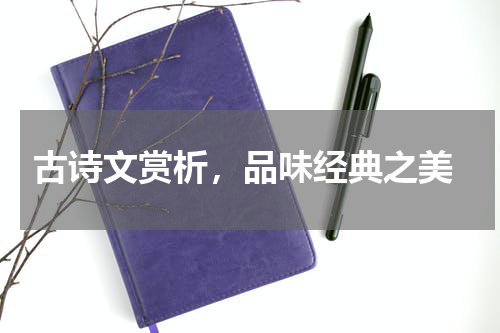  古诗文赏析，品味经典之美