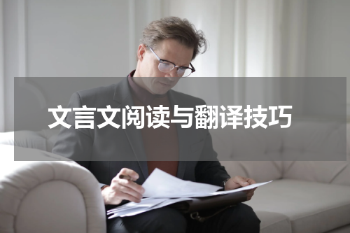  文言文阅读与翻译技巧