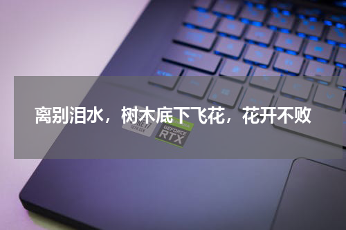 离别泪水，树木底下飞花，花开不败