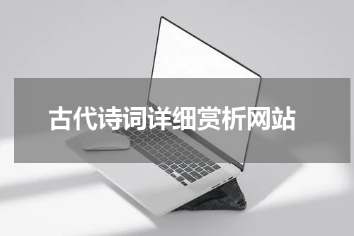  古代诗词详细赏析网站