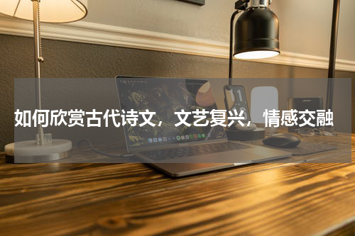  如何欣赏古代诗文，文艺复兴，情感交融