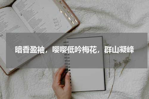 暗香盈袖，嘤嘤低吟梅花，群山凝峰