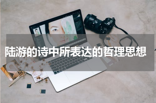  陆游的诗中所表达的哲理思想