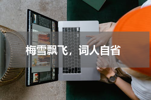  梅雪飘飞，词人自省