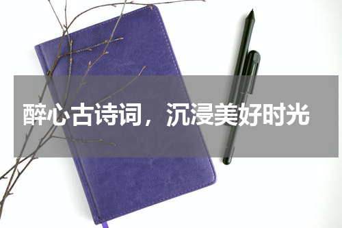  醉心古诗词，沉浸美好时光