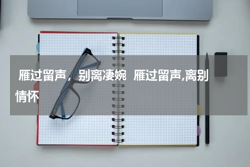  雁过留声，别离凄婉  雁过留声,离别情怀