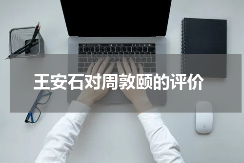  王安石对周敦颐的评价