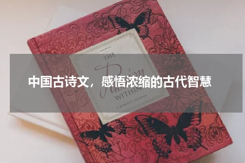  中国古诗文，感悟浓缩的古代智慧