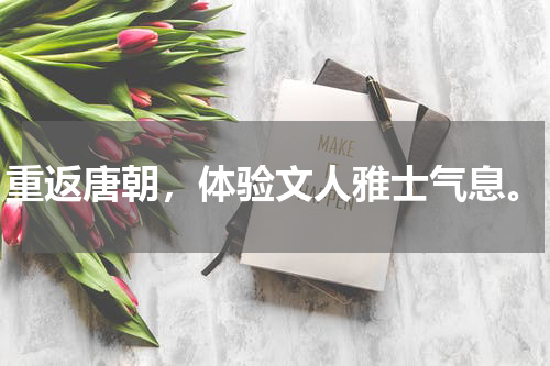 重返唐朝，体验文人雅士气息。