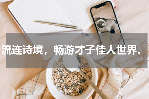 流连诗境，畅游才子佳人世界。