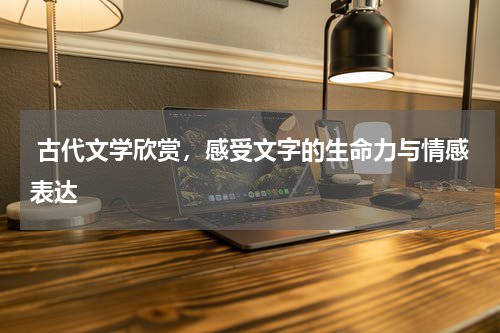  古代文学欣赏，感受文字的生命力与情感表达 