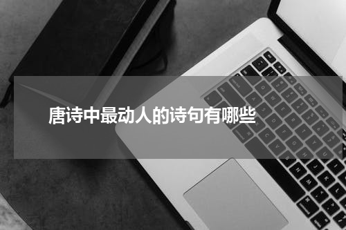  唐诗中最动人的诗句有哪些  
