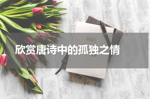  欣赏唐诗中的孤独之情 