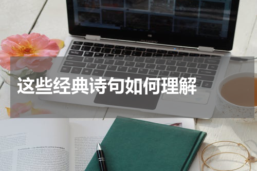  这些经典诗句如何理解  