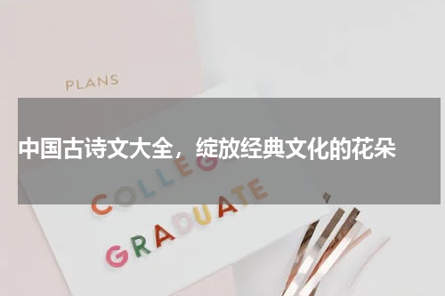  中国古诗文大全，绽放经典文化的花朵 