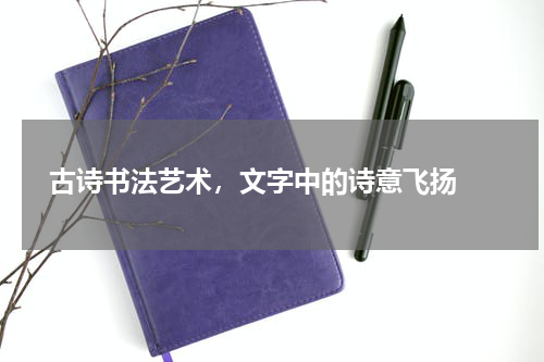  古诗书法艺术，文字中的诗意飞扬 