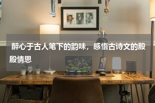  醉心于古人笔下的韵味，感悟古诗文的殷殷情思 