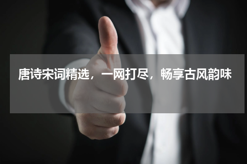  唐诗宋词精选，一网打尽，畅享古风韵味 
