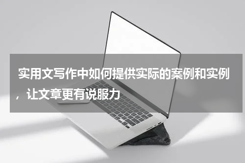  实用文写作中如何提供实际的案例和实例，让文章更有说服力