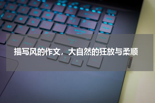  描写风的作文，大自然的狂放与柔顺