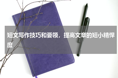 短文写作技巧和要领，提高文章的短小精悍度