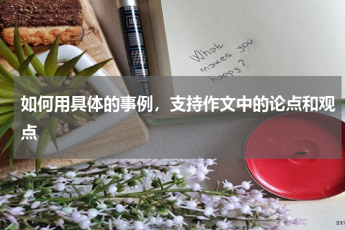 如何用具体的事例，支持作文中的论点和观点
