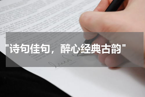  "诗句佳句，醉心经典古韵"