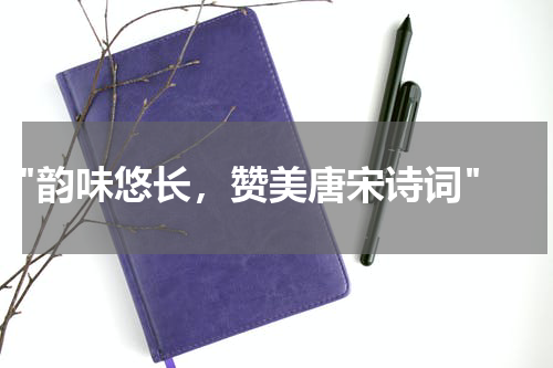  "韵味悠长，赞美唐宋诗词"