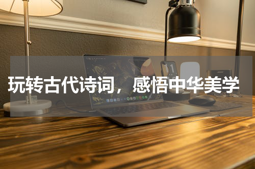  玩转古代诗词，感悟中华美学