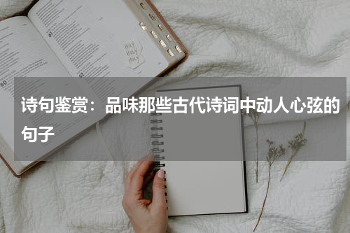 诗句鉴赏：品味那些古代诗词中动人心弦的句子
