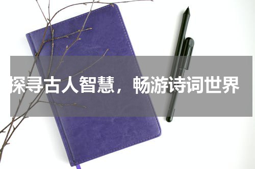  探寻古人智慧，畅游诗词世界