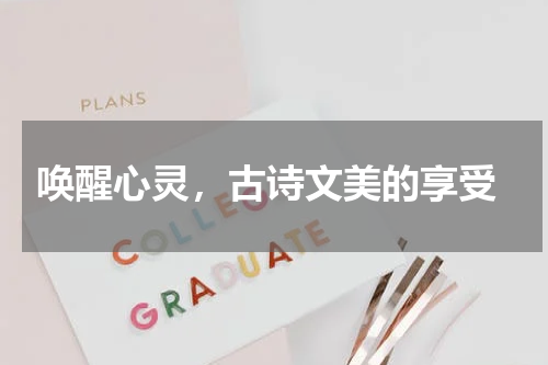  唤醒心灵，古诗文美的享受