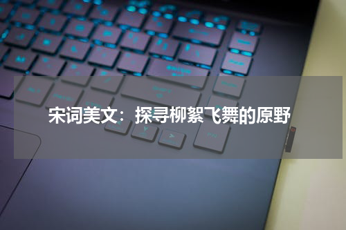  宋词美文：探寻柳絮飞舞的原野