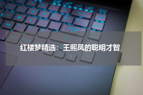  红楼梦精选：王熙凤的聪明才智