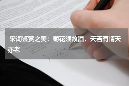  宋词鉴赏之美：菊花须故酒，天若有情天亦老