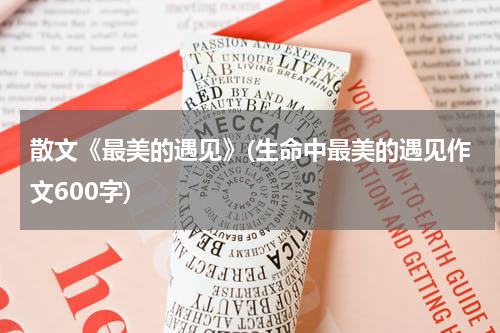 散文《最美的遇见》(生命中最美的遇见作文600字)