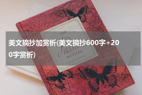 美文摘抄加赏析(美文摘抄600字+200字赏析)