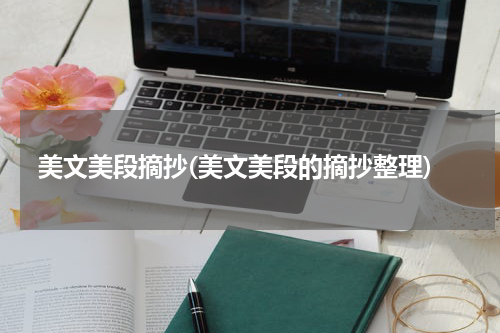 美文美段摘抄(美文美段的摘抄整理)