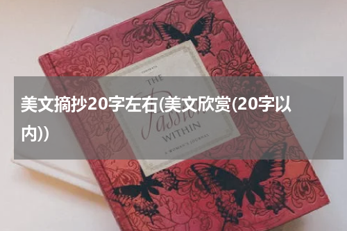 美文摘抄20字左右(美文欣赏(20字以内))