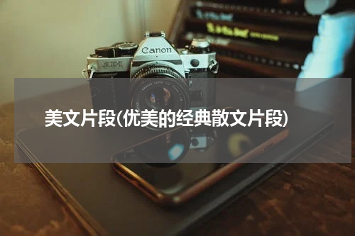 美文片段(优美的经典散文片段)