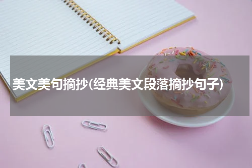 美文美句摘抄(经典美文段落摘抄句子)