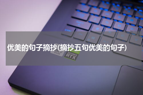 优美的句子摘抄(摘抄五句优美的句子)