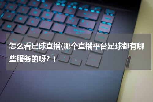 怎么看足球直播(哪个直播平台足球都有哪些服务的呀？)