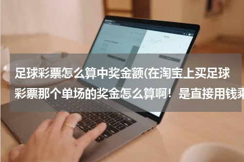 足球彩票怎么算中奖金额(在淘宝上买足球彩票那个单场的奖金怎么算啊！是直接用钱乘上赔率吗？)