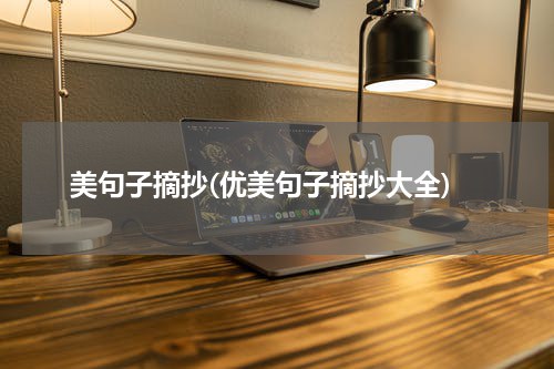 美句子摘抄(优美句子摘抄大全)