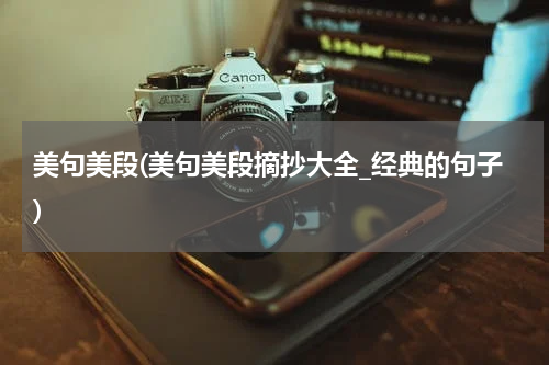 美句美段(美句美段摘抄大全_经典的句子)